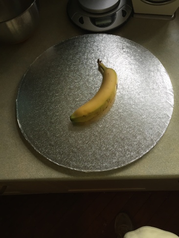 Banana for scale